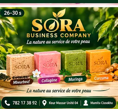 Sora Business Compagnie